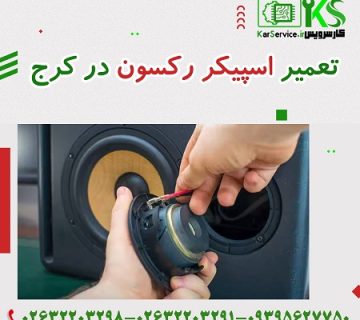 تعمیر اسپیکر رکسون در کرج