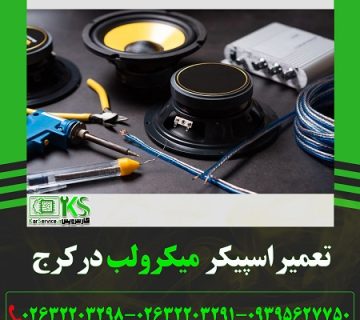 تعمیر اسپیکر میکرولب در کرج